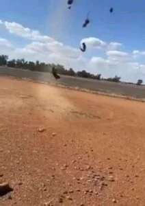 شاهد بالصور ....السماءتمطر فئرانا 7 operanews1620934992674