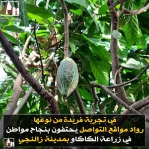 FB IMG 1668280395284