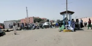 FB IMG 1681392773967